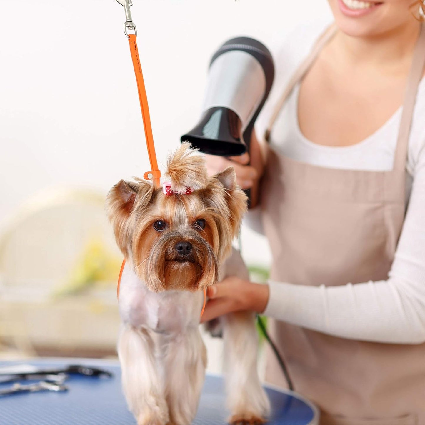 Jelly Pet Grooming Loop for Dogs, Fits Most Pet Grooming Tubs/Tables, Easy to Clean, Waterproof & Durable Noose Loop, Stronger than Leather, Made in the USA, 3/8" X 18’’ and 24"