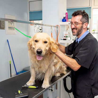 Jelly Pet Grooming Loop for Dogs, Fits Most Pet Grooming Tubs/Tables, Easy to Clean, Waterproof & Durable Noose Loop, Stronger than Leather, Made in the USA, 3/8" X 18’’ and 24"