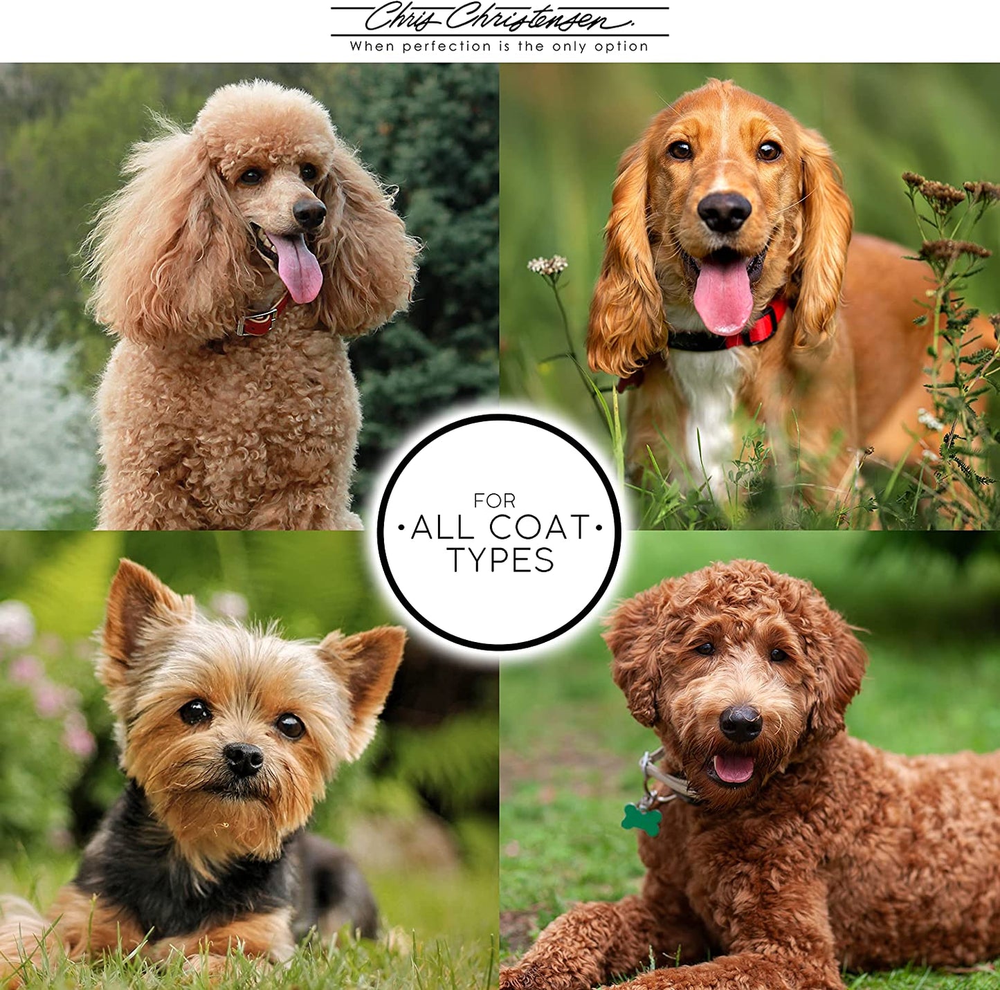 Mark II Slicker Brush, Groom like a Professinal, Stainless Steel Pins, Lightweight Beech Wood Body, Ground and Polished Tips, Small