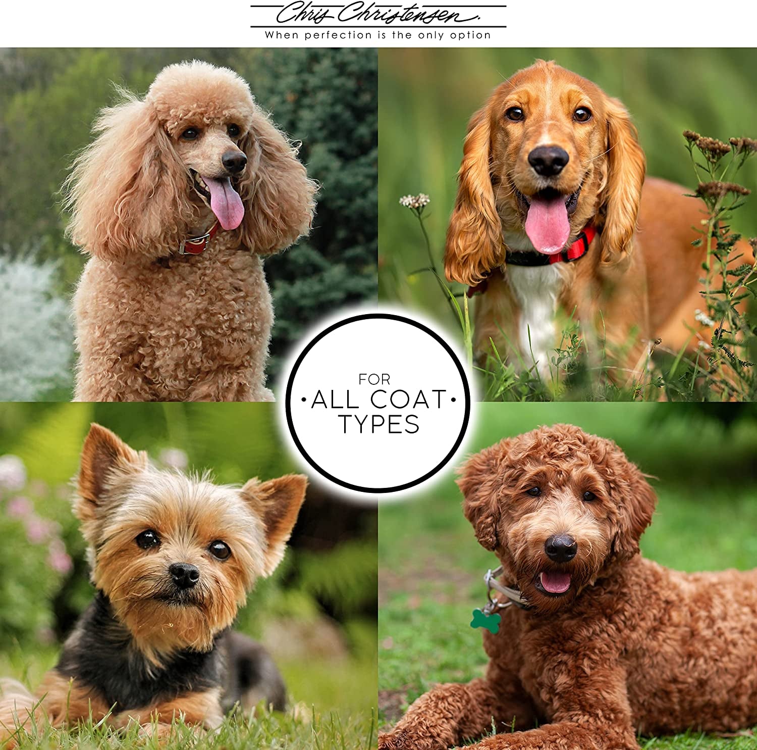 Mark II Slicker Brush, Groom like a Professinal, Stainless Steel Pins, Lightweight Beech Wood Body, Ground and Polished Tips, Small